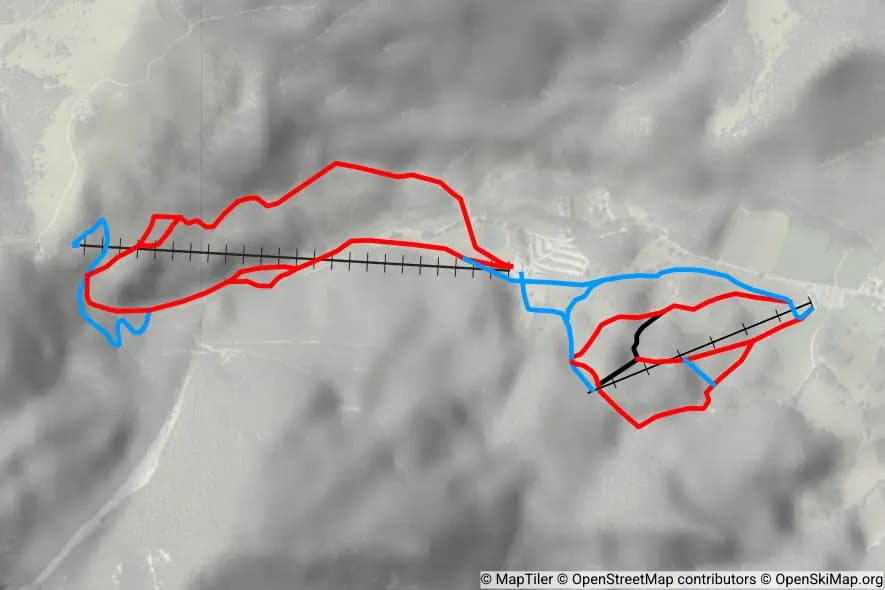 Puchis Welt in Puchberg skimap