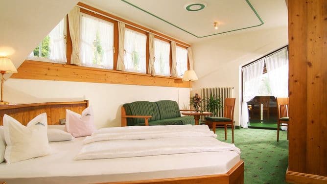 Hotel Alpina - photo 2