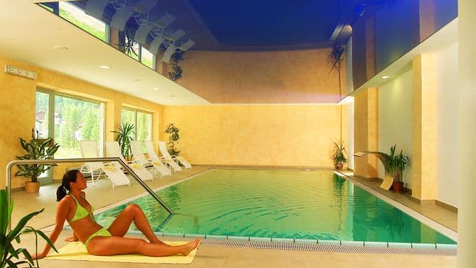 Hotel Alpina - photo 3