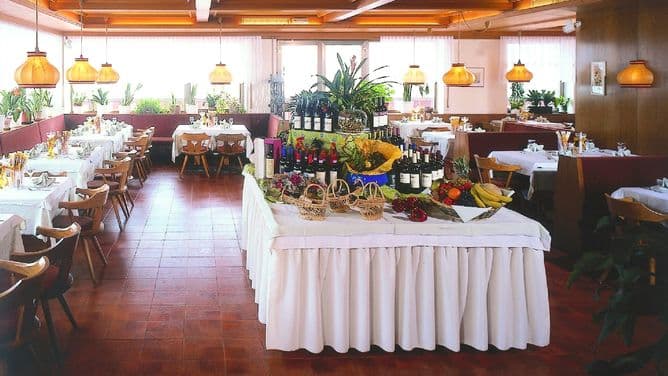 Hotel Alpina - photo 4