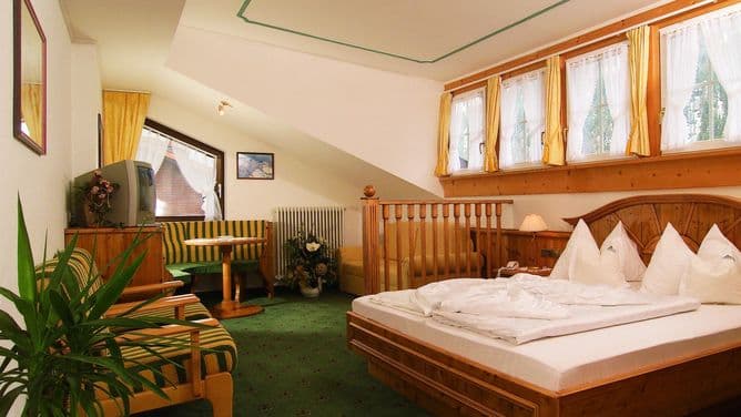 Hotel Alpina - photo 7