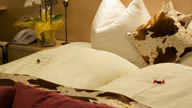 Hotel Landhaus Carla - foto 12