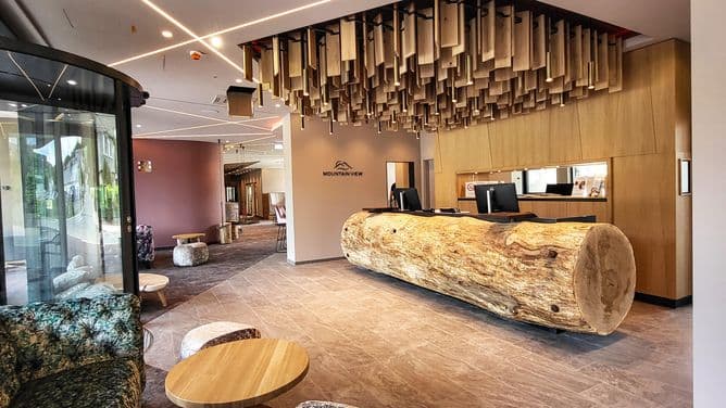 Mountain View Hotel - foto 4